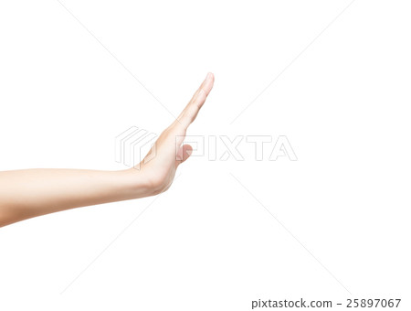 Female hand isolated on white background 25897067