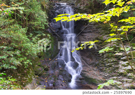 Biwa waterfall 25897690