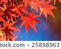 秋葉和藍天 25898963