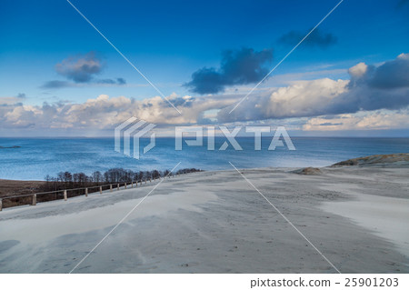 Parnidis dune in autumn, Neringa, Lithuania 25901203