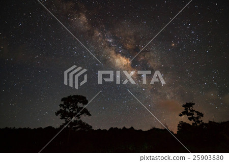 Milky Way Galaxy and Silhouette of Tree with cloud Milky Way Galaxy and Silhouette of Tree with cloud 25903880