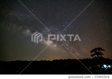 Milky Way Galaxy and Silhouette of Tree with cloud Milky Way Galaxy and Silhouette of Tree with cloud 25903929