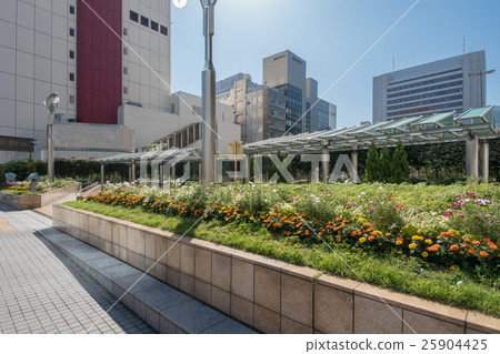 築地河銀座公園 築地河銀座公園 25904425