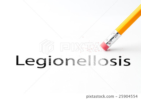 Pencil with eraser 25904554
