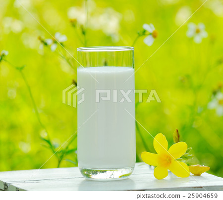 Glass of milk on white table in morning garden Glass of milk on white table in morning garden 25904659