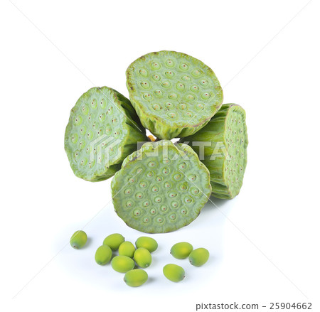Lotus seeds ,green pod on white background. Lotus seeds ,green pod on white background. 25904662