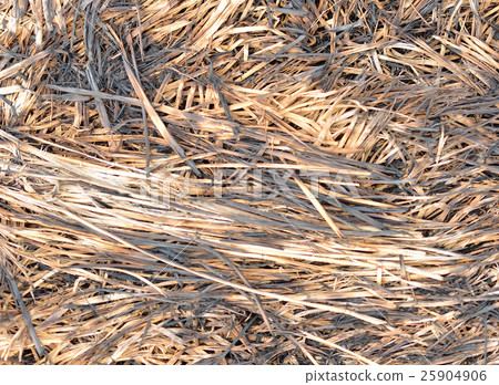 straw  burn after harvesting 25904906