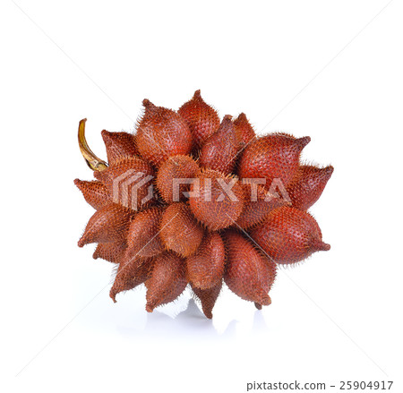 Salak fruit, Salacca zalacca isolated on white 25904917