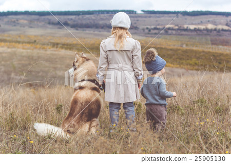 Girl and boy are walking with husky dog Girl and boy are walking with husky dog 25905130