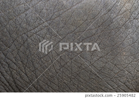 Elephant skin texture abstract background. Elephant skin texture abstract background. 25905482