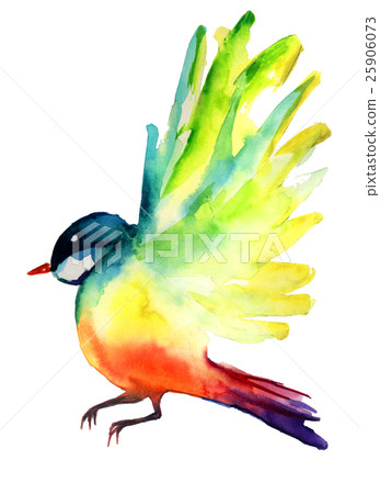 watercolor sketch of colored bird 25906073