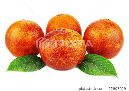 Ripe red blood oranges with green leaves isolated on white Ripe red blood oranges with green leaves isolated on white 25907029