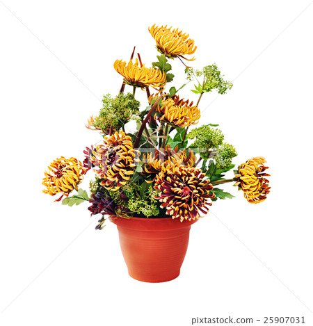 Bouquet from chrysanthemums arrangement centerpiece in vase isol Bouquet from chrysanthemums arrangement centerpiece in vase isol 25907031