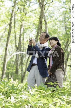 A couple enjoying a walk 25907987