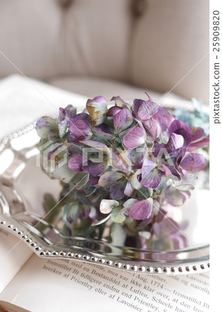 插花圖像 插花圖像 25909820