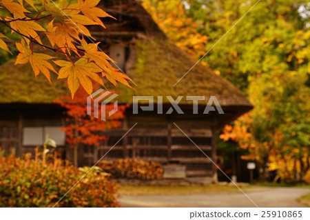 秋天飛達路6號 秋天飛達路6號 25910865