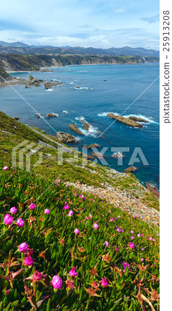Summer blossoming Cape Vidio, Asturian coast,Spain 25913208