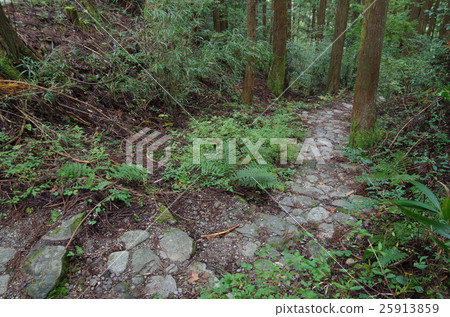 A stone pavement of Kumano Kodan wayakonobe 25913859