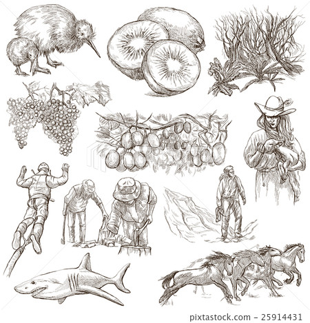 New Zealand. Pictures of Life. An hand drawings. 25914431