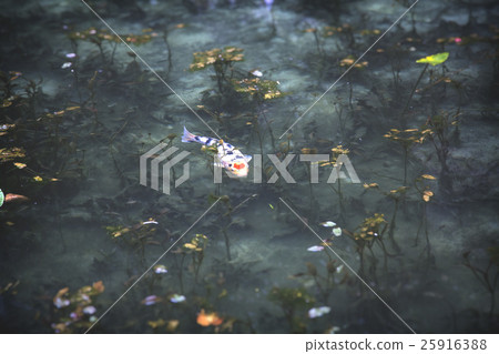 莫奈的池塘 25916388