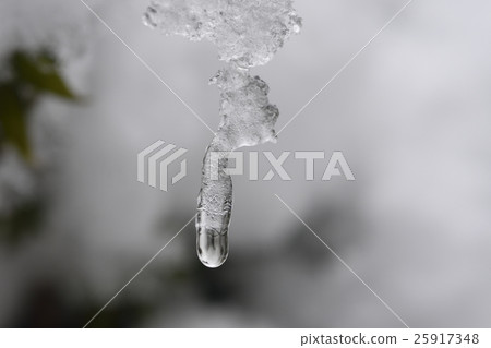 Icicle of ice cream garden tree Icicle of ice cream garden tree 25917348