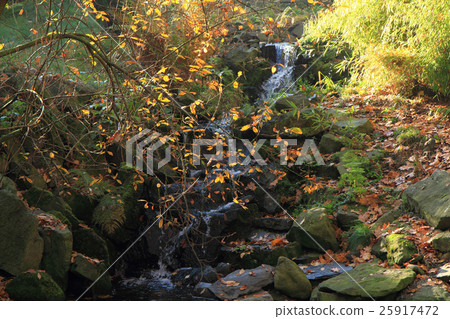 small autumn brooklet small autumn brooklet 25917472