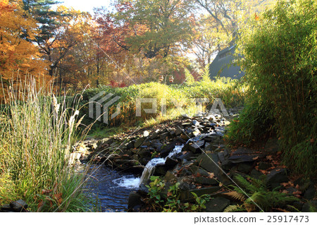 small autumn brooklet 25917473