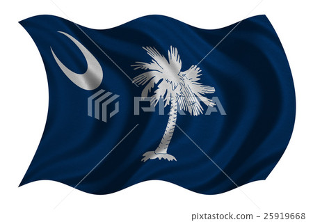 Flag of South Carolina waving on white, textured 25919668