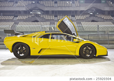 Immortal popular people Immortal popular people 25920304