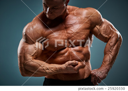 torso of attractive male body builder on gray torso of attractive male body builder on gray 25920330