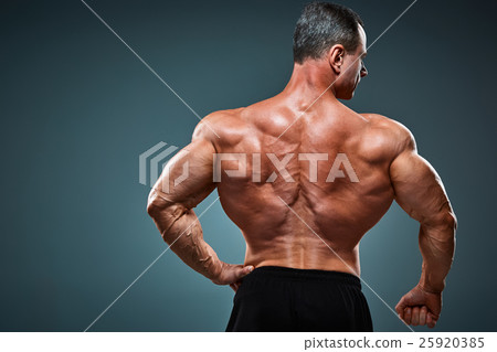 torso of attractive male body builder on gray torso of attractive male body builder on gray 25920385