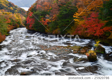 Ryuzo noodaki falling into Lake Chuzenji, autumn, autumn leaves 25920786