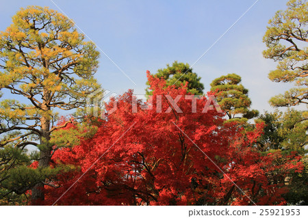 fall season in japan fall season in japan 25921953