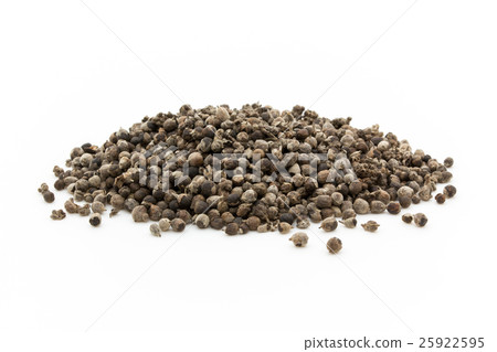 Chest berry, chest tree, carrot Car: Chaste tree 25922595