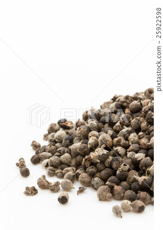 胸部漿果,胸部樹,胡蘿蔔汽車:貞潔的樹 胸部漿果,胸部樹,胡蘿蔔汽車:貞潔的樹 25922598