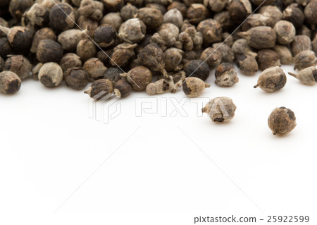 胸部漿果,胸部樹,胡蘿蔔汽車:貞潔的樹 胸部漿果,胸部樹,胡蘿蔔汽車:貞潔的樹 25922599