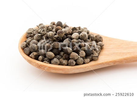 Chest berry, chest tree, carrot Car: Chaste tree 25922610