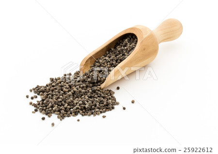 Chest berry, chest tree, carrot Car: Chaste tree Chest berry, chest tree, carrot Car: Chaste tree 25922612