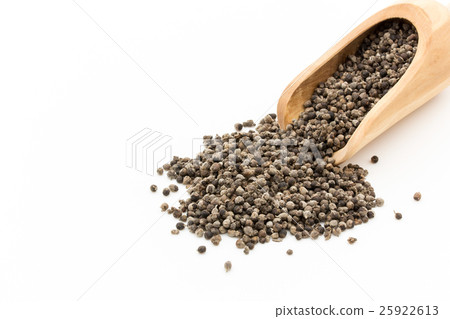 胸部漿果,胸部樹,胡蘿蔔汽車:貞潔的樹 胸部漿果,胸部樹,胡蘿蔔汽車:貞潔的樹 25922613