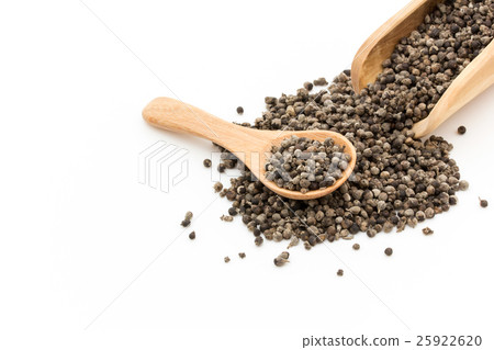 Chest berry, chest tree, carrot Car: Chaste tree 25922620