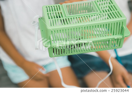 捕蟲器 蟬 昆蟲籠 25923044