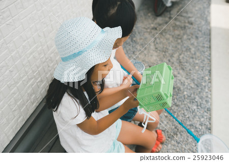 cicada, primary school student, schoolchild 25923046