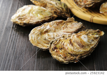 Raw oysters  25923142