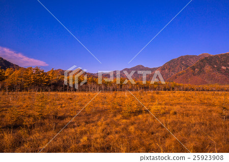 [Tochigi Prefecture Nikko National Park] Senjogahara autumn leaves 25923908
