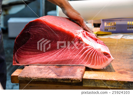 金槍魚 25924103
