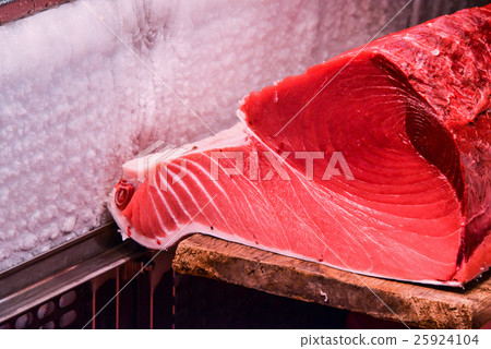 金槍魚 25924104