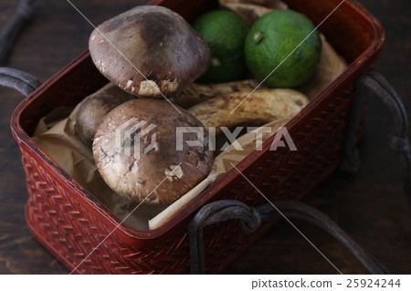 Matsutake Matsutake 25924244