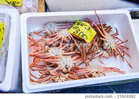 人物 男女 日本人 照片 螃蟹 蟹 女性 首页 照片 人物 男女 日本人