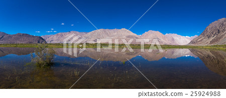 Nubra Valley landscape with Himalayan range view 25924988
