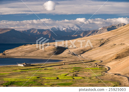 Tso Moriri Lake with Great Himalayan Range 25925003